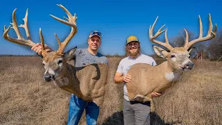 Before You Mount Your Deer, WATCH THIS!