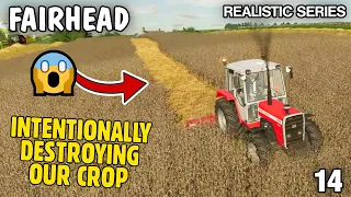 CRAZY! INTENTIONALLY DESTROYING THE CROP! | Let's Play Fairhead Realistic FS22- Episode 14