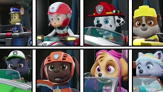 Paw Patrol Grand Prix All Characters