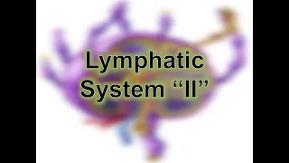 Histology of Lymphatic system "part II" (spleen, MALT & tonsils)