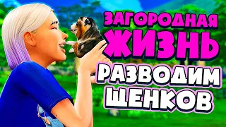 РАЗВОДИМ ЩЕНКОВ НА ФЕРМЕ! - СИМС 4 - The Sims 4 (Загородная Жизнь)