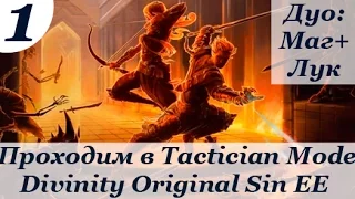 Прохождение Divinity Original Sin Enhanced Edition tactician mode дуо(маг+лучник) Часть1