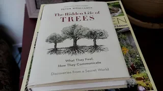 The Best Gardening Books - "The Hidden Life of Trees"