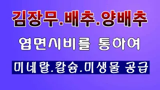 [텃밭농부. 1,259]  가을작물에 엽면시비로 웃거름 주는 방법 #엽면시비 #배추재배 #무우재배 #양배추재배