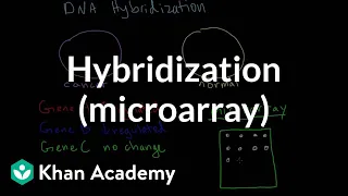 Hybridization (microarray) | Biomolecules | MCAT | Khan Academy
