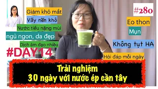 #280. Ngày thứ 14 - Uống nước ép cần tây lúc bụng đói buổi sáng| Trải nghiệm