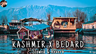 BeDard Dadi Chane | kashmir x bedard | slowed & reverb | Ayaan Sajad