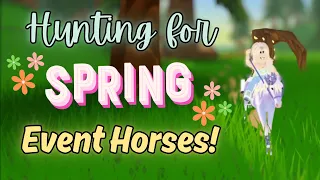 Hunting for *SPRING EVENT HORSES* | Wild Horse Islands