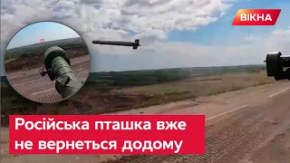 ☠️ ЗСУ привітали російський Су-25 з м'якою посадкою в УКРАЇНСЬКОМУ полі: МОМЕНТ підбиття