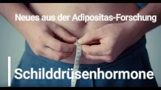 "Schilddrüsenhormone" - Neues aus der Adipositas-Forschung