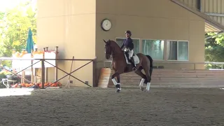 Frangipani & Julia Mineikis working on trot quality with Steffen Peters