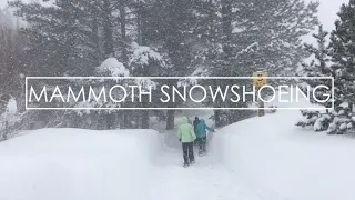 Mammoth Lakes Winter Snowshoeing in 90 Seconds | Mammoth Lakes, CA