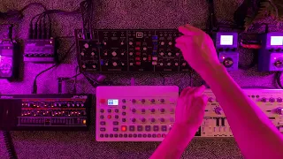 First 2023 dawless jam with a 303 clone (TD-3) feat. Model D, JP-08 & Model:Samples