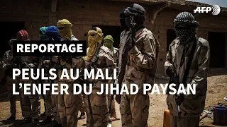 Les Peuls, Chapitre II: au centre du Mali, la naissance d'un jihad paysan | AFP Reportage