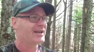 Bigfoot encounter in New York. Sasquatch sighting in the Adirondack mountains