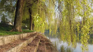 Ljubljanica River, Slovenia ~ 4K Virtual Travel