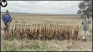 How Australian Farmers Deal With Millions Of Foxes, Baboons And Millions Of Other Invasive Species