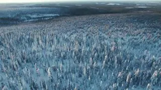 Russland: Im Reich der Tiger, Bären und Vulkane (Россия: от Края до Края) Trailer