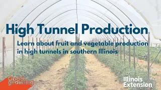 High Tunnel Production with Bronwyn Aly #GoodGrowing