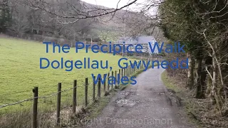 The Precipice Walk, Dolgellau, Wales