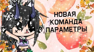 🌸Характеристика членов команды 🌸. Параметры ос💥