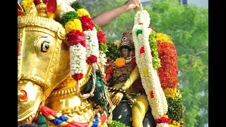 Madurai Chithirai Thiruvila WhatsApp Status | Kallalagar Vararu | Attract Media