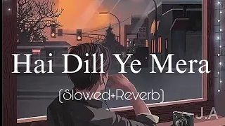 Hai Dill Ye Mera (Slowed and Reverb) || Arijit Singh || Hate story 2 || Lofi Chill