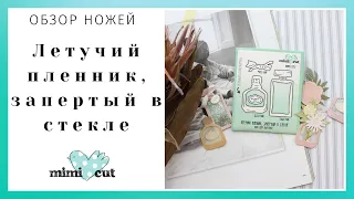 Обзор ножей MimiCut Летучий пленник, запертый в стекле