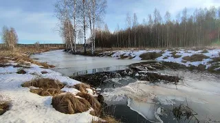 Проверка капканов. Охота на Бобра, Норку.