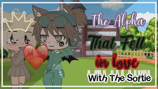 The Alpha That Fell In Love With The Softie // Gacha Life Mini Movie (GLMM)