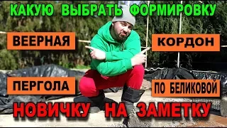 Какую ФОРМИРОВКУ выбрать для ВИНОГРАДНЫХ кустов НОВИЧКУ на заметку