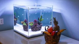Fruitbasket Reeftank | Full Build