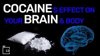 What is Cocaine? Is Cocaine Addictive? Cocaine Brain Effects & Street Names. Helpline (561) 678-0917