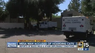 Mesa man accused of hoarding cats