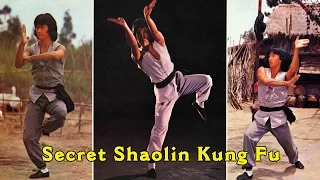 Wu Tang Collection - Secret Shaolin Kung Fu (Japanese Subtitled)