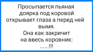 Пьяная Доярка и Горячая баба Настя!!! Смешная Подборка Анекдотов!!!