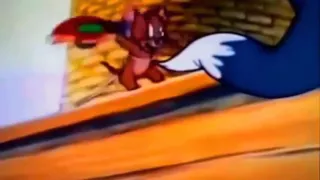 Tom and Jerry, 55 Episode - Casanova Cat (1951) - Alexandra Lee