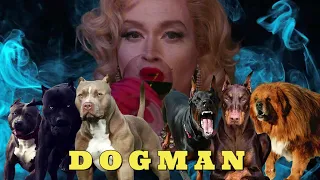 Dogman (2023) - Luc Besson Film - Adrenaline Review - Caleb Landry Jones #youtubevideo