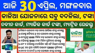 Odisha News | 30 April 2024 | Today Morning news | kalia yojana money | Upstox app earn money offer