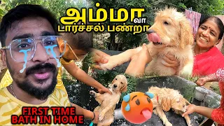 அம்மா வா வெச்சு செஞ்சுட்டா🤣 Semma Fun Rani | Dog Bath By Amma‼️Tamil Couple Vlogs - Tuberbasss