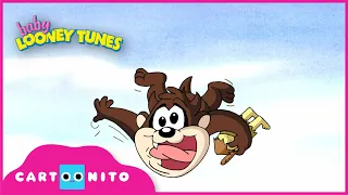 Baby Looney Tunes | Taz You Like It | Cartoonito