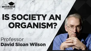 Conscious Evolution: Is Society an Organism? - Professor David Sloan Wilson