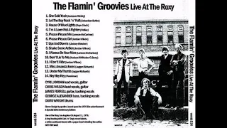 The  Flamin  Groovies  -   Live at Roxy ,1976