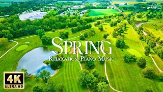 4k Enchanted Spring Nature Scenery 🌿 Throw Stress Away with Relaxing Piano Music 🌿 Soothing Sounds