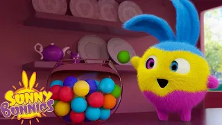 SUNNY BUNNIES - Multicolour Bunnies  | Season 5 | Cartoons for Children