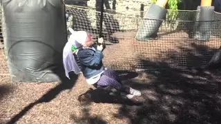 Zip line at Redwood Creek Challenge Trail