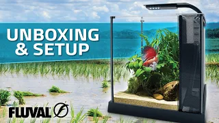 Fluval Betta Kit | Unboxing & Setup