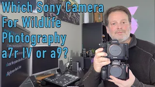 Which Sony Camera For Wildlife Photography, a7r IV or a9?