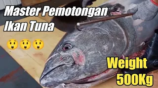 Pemotongan Ikan Tuna Berat 500Kg Sushi Sashimi