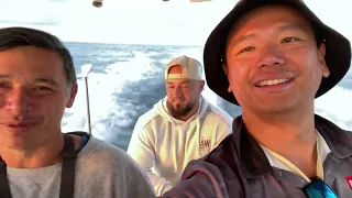 Gold Coast Fishing - Black Marlin & Cobia